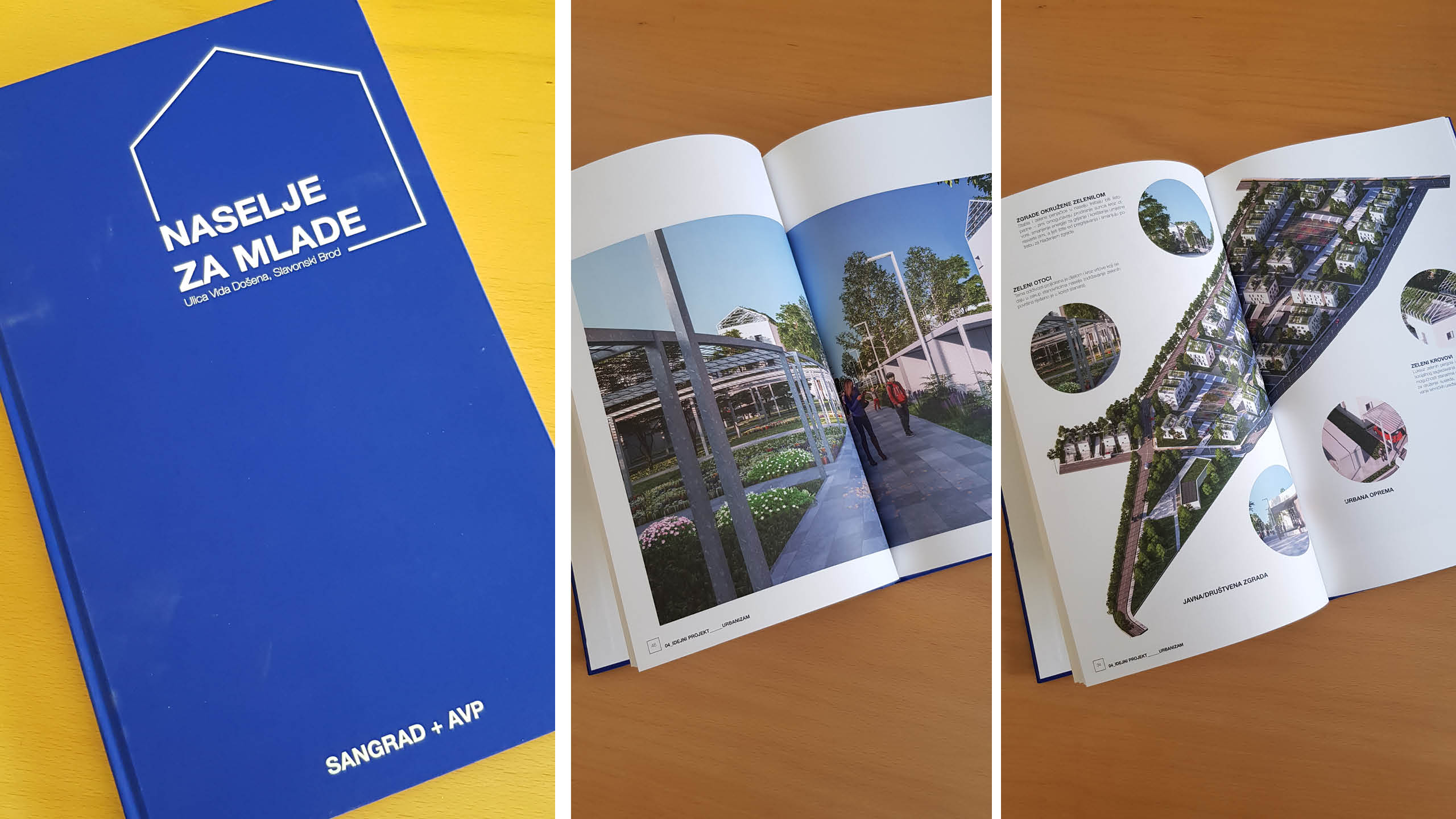 PROJECT NEIGHBORHOOD FOR YOUNG FAMILIES SB_BOOK